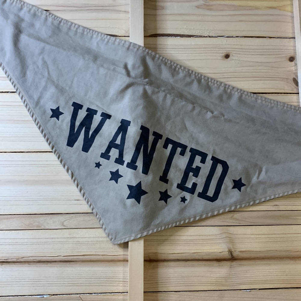 Bandana - Picture 2 of 2